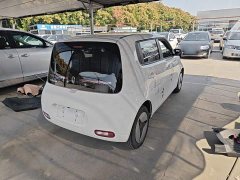 Ora White Cat 2020 360km Standard Edition - ფოტო 6