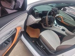 BYD Song Pro New Energy 2022 DM-i 110km Flagship Pro - ფოტო 11