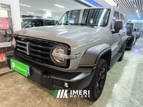 2021 Tank 300 Off-Road Edition 2.0T Conqueror - ავტომობილი ჩინეთიდან