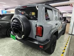 Tank 300 Off-Road Edition 2.0T Conqueror - ფოტო 6