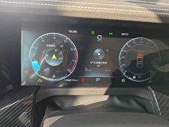 Tank 300 Off-Road Edition 2.0T Conqueror - ფოტო 11