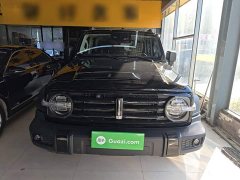 Tank 300 Off-Road Edition 2.0T Conqueror - ფოტო 2