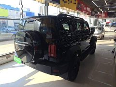 Tank 300 Off-Road Edition 2.0T Conqueror - ფოტო 6