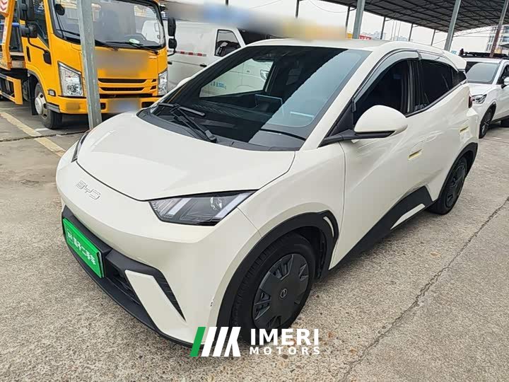 BYD Seagull Vitality Edition - ავტომობილი ჩინეთიდან