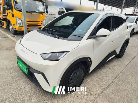 2023 BYD Seagull Vitality Edition