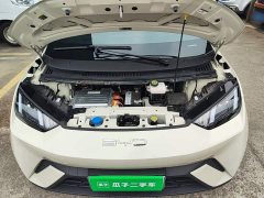 BYD Seagull Vitality Edition - ფოტო 19