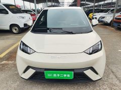 BYD Seagull Vitality Edition - ფოტო 2