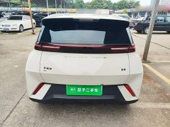 BYD Seagull Vitality Edition - ფოტო 5