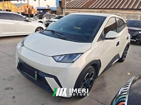 2026 BYD Seagull 305km Freedom Edition