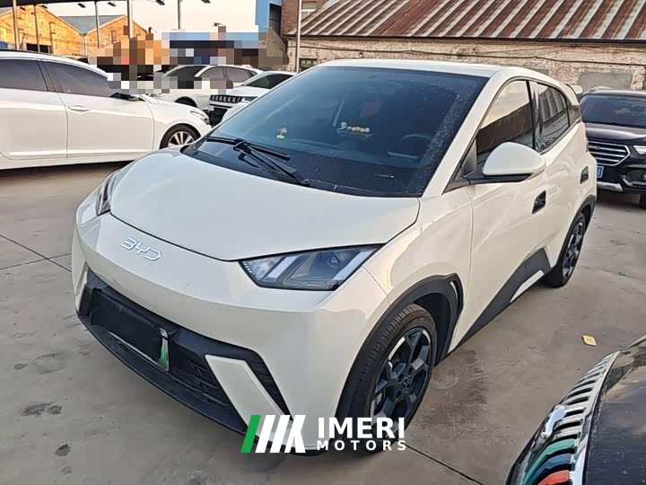 BYD Seagull 305km Freedom Edition