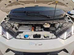 BYD Seagull 2025 305km Freedom Edition - ფოტო 19