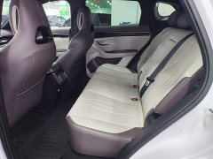 BYD Song Plus New Energy 2025 EV 520km Luxury - ფოტო 16