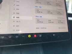 Tesla Model 3 High Performance All-Wheel Drive - ფოტო 11