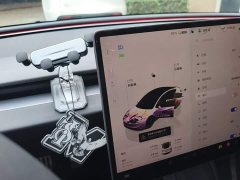 Tesla Model 3 High Performance All-Wheel Drive - ფოტო 13