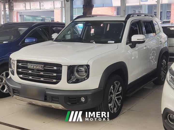 Great Wall Dachshund 1.5T DCT Two-Wheel Drive Border Collie Edition - ავტომობილი ჩინეთიდან