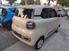 FAW Besturn Xiaoma 222km Dynamic Edition - ფოტო 6