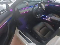 Tesla Model 3 Standard Range RWD Upgrade - ფოტო 15
