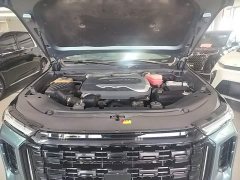 Maxus 2.0T Luxury Edition 6 - ფოტო 19