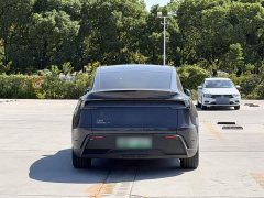 Tesla Model Y Rear-Wheel Drive - ფოტო 19