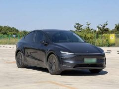 Tesla Model Y Rear-Wheel Drive - ფოტო 20