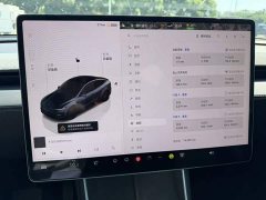 Tesla Model Y Rear-Wheel Drive - ფოტო 4