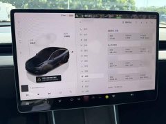 Tesla Model Y Rear-Wheel Drive - ფოტო 5