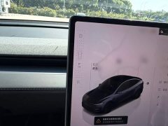 Tesla Model Y Rear-Wheel Drive - ფოტო 6