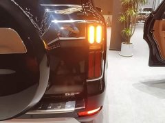 Tank 500 New Energy 2023 Hi4-T - ფოტო 7