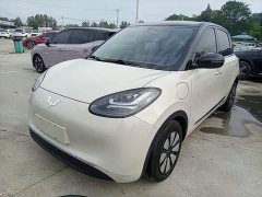 Wuling Binguo 2024 333km Joy Edition - ფოტო 1