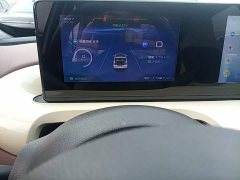 Wuling Binguo 2024 333km Joy Edition - ფოტო 11