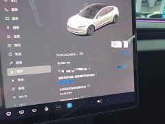 Tesla Model 3 Rear-Wheel Drive - ფოტო 11