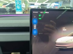 Tesla Model 3 Rear-Wheel Drive - ფოტო 13