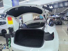 Tesla Model 3 Rear-Wheel Drive - ფოტო 18