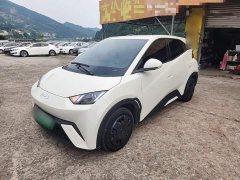 BYD Seagull 305km Vitality Edition - ფოტო 1