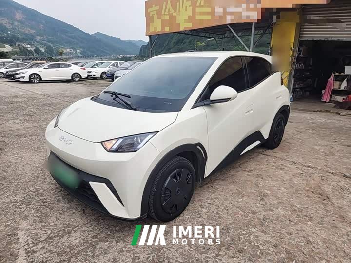 BYD Seagull 305km Vitality Edition