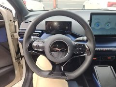 BYD Seagull 305km Vitality Edition - ფოტო 10
