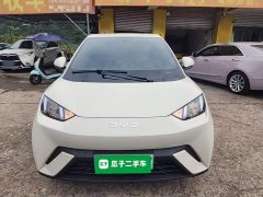 BYD Seagull 305km Vitality Edition - ფოტო 2