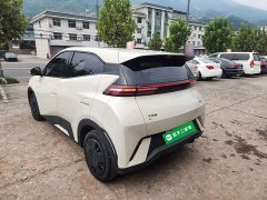 BYD Seagull 305km Vitality Edition - ფოტო 4
