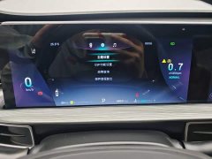 Chery Tiggo 8 PLUS 2021 290TGDI DCT Luxury Edition - ფოტო 11