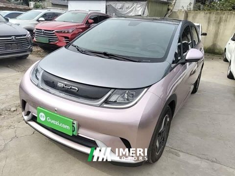 2022 BYD Dolphin 405km Fashion Edition - ავტომობილი ჩინეთიდან