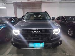 Great Wall Dachshund 2026 1.5T DCT Border Collie Edition - ფოტო 2