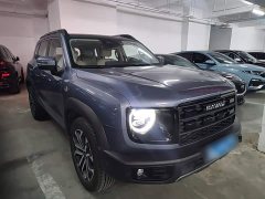 Great Wall Dachshund 2026 1.5T DCT Border Collie Edition - ფოტო 3