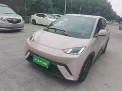 BYD Seagull 2023 Freedom Edition - ფოტო 1