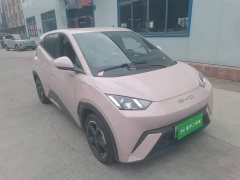 BYD Seagull 2023 Freedom Edition - ფოტო 3
