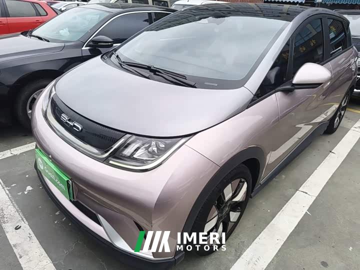 BYD Dolphin 401km Knight Edition - ავტომობილი ჩინეთიდან