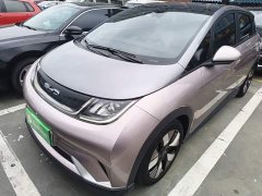 BYD Dolphin 401km Knight Edition - ფოტო 1