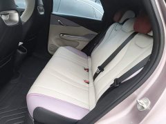 BYD Dolphin 401km Knight Edition - ფოტო 16