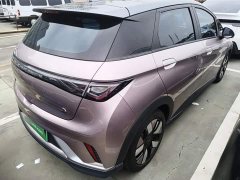 BYD Dolphin 401km Knight Edition - ფოტო 6