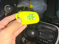 SAIC Clever 311km Vitality Pop Edition - ფოტო 8