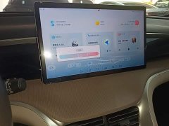 BYD Song Pro New Energy 2023 Champion Edition DM-i 110KM Excellence - ფოტო 12